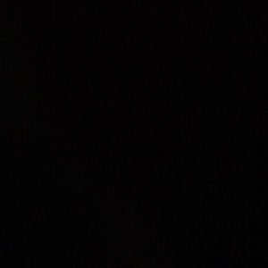 Meet your Posher, Janice